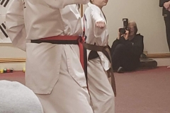 Resized952019022495122831